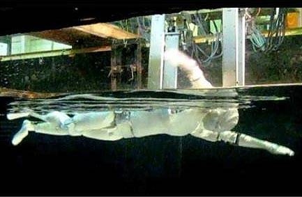 Swimming Humanoid Swimming Humanoid
